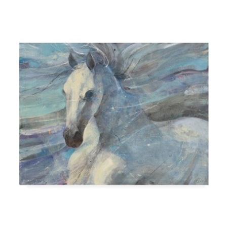 Albena Hristova 'Poseidon White Horse' Canvas Art,14x19